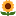 VoyeurFlash