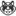 XXXTorrent.net